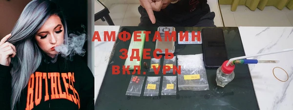 прущие грибы Абаза