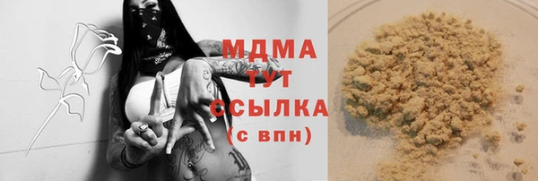 прущие грибы Абаза