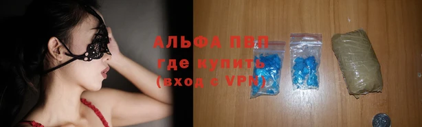 прущие грибы Абаза