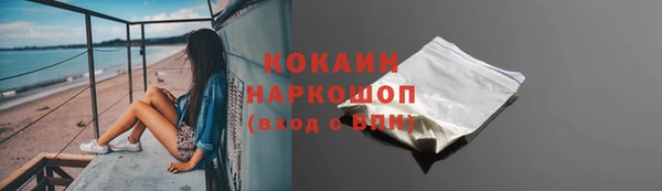 прущие грибы Абаза