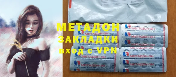 прущие грибы Абаза