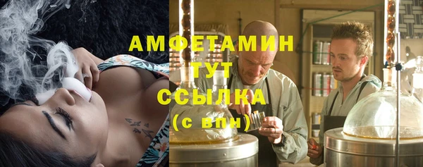 прущие грибы Абаза