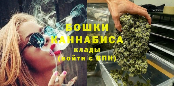прущие грибы Абаза