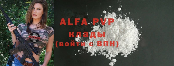 прущие грибы Абаза